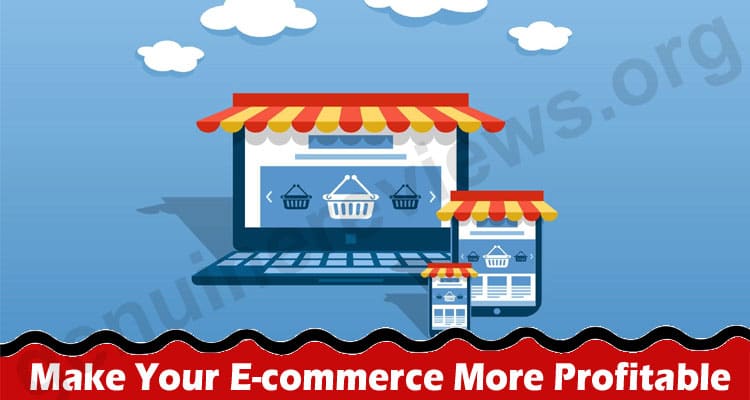 How to Make Your E-commerce More Profitable