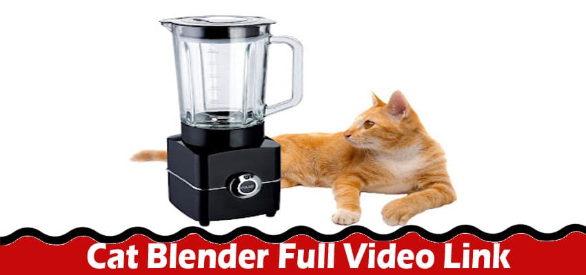 Latest News Cat Blender Full Video Link