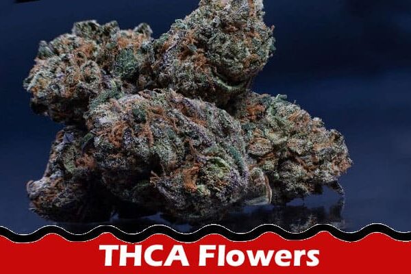 Complete Information About THCA Flowers - Facts You Need to Know & Potential Benefits