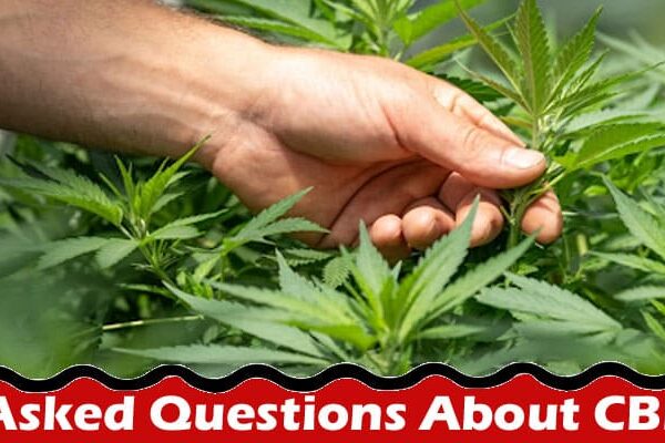 Latest News Commonly Asked Questions About CBD