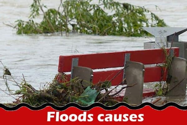 Floods causes The main causes, effects, and methods of control