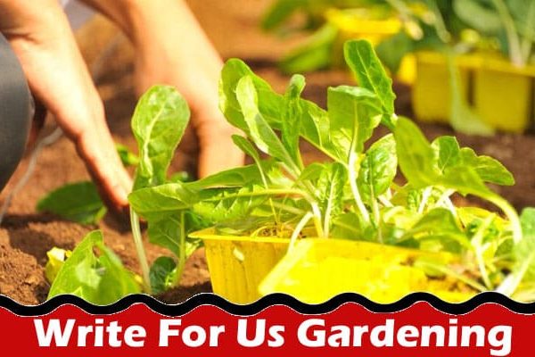 Complete A Guide to Write For Us Gardening